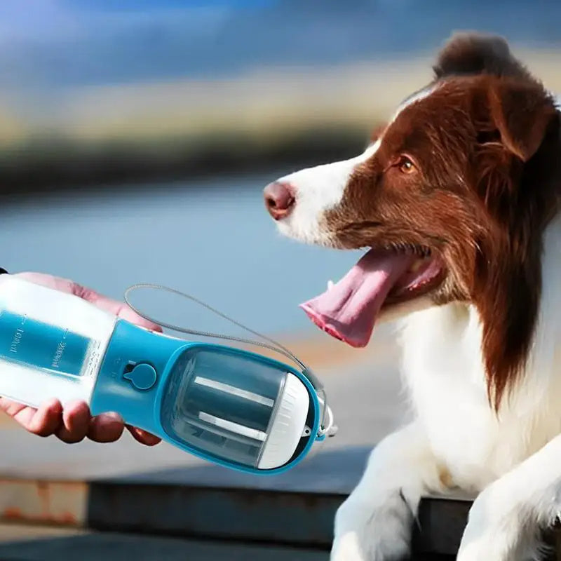 "3-in-1 Portable Dog Water Cup"
